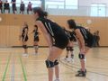 Volleyball Damen 47176790