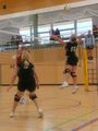 Volleyball Damen 47176801