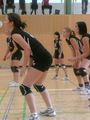 Volleyball Damen 47176808