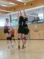 Volleyball Damen 47176815