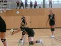 Volleyball Damen 47176818