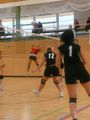 Volleyball Damen 47176820