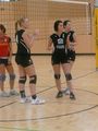 Volleyball Damen 47176847