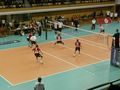 Volleyball Championsleague 52018811