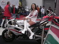 Motorradmesse 2007 14600424