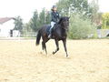 reiten in der schule 49284446