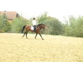 reiten in der schule 49285604