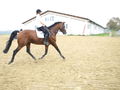 reiten in der schule 49286625