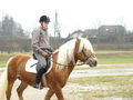 reiten in der schule 52541035