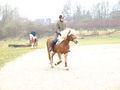 reiten in der schule 52541147