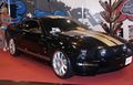 Ford Mustang 48129540