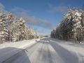 Lapland 36178905