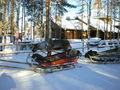 Lapland 36179472