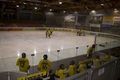 Eishockey 36149266