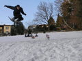 Snowboarding 10051385