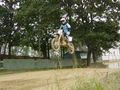  Motocross 9538444