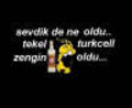 turk 15165284