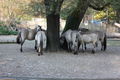 Tierpark München 2008 56155907