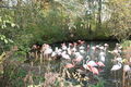 Tierpark München 2008 56155997