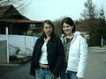 i und meine friends 5417641