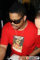 felix da Housecat 21668425