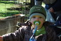  Wildpark Hochkreut  Levin 14 Mon 46462137