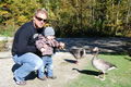  Wildpark Hochkreut  Levin 14 Mon 46462207