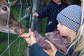  Wildpark Hochkreut  Levin 14 Mon 46463132