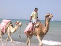 Djerba Urlaub 2008 41988172