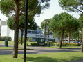 BIBIONE (Ostern 2007) 17935633