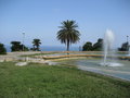Barcelona 25722850