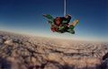 Skydiver! Mei erster tandem! 36848486