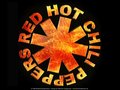 Red Hot Chili Peppers........Bier....... 15531998