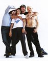 Red Hot Chili Peppers........Bier....... 15532009