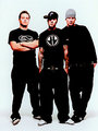 Blink 182 und + 44 15634453