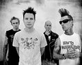 Blink 182 und + 44 15634470