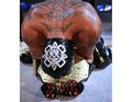 rey mysterio 16055437