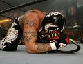 rey mysterio 16055552