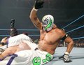 rey mysterio 16055680