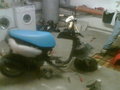 zauners moped 20046484