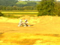 Motocross foan  45616576