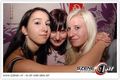 Neueste Bilder 45011044