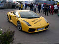 Lamborgini und Ferari 5406549