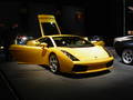 Lamborgini und Ferari 5406591