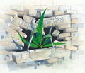 Legalize it!!! 25490870