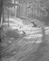 Theodor Kittelsen 16204648