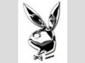 Little playboy rock the world ^^ 15768375