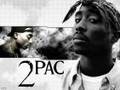 2 PAC 5218280