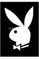 Playboy!!!! 9745240