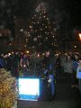 Weihnachtsschwimmen Steyr 2006 12638741